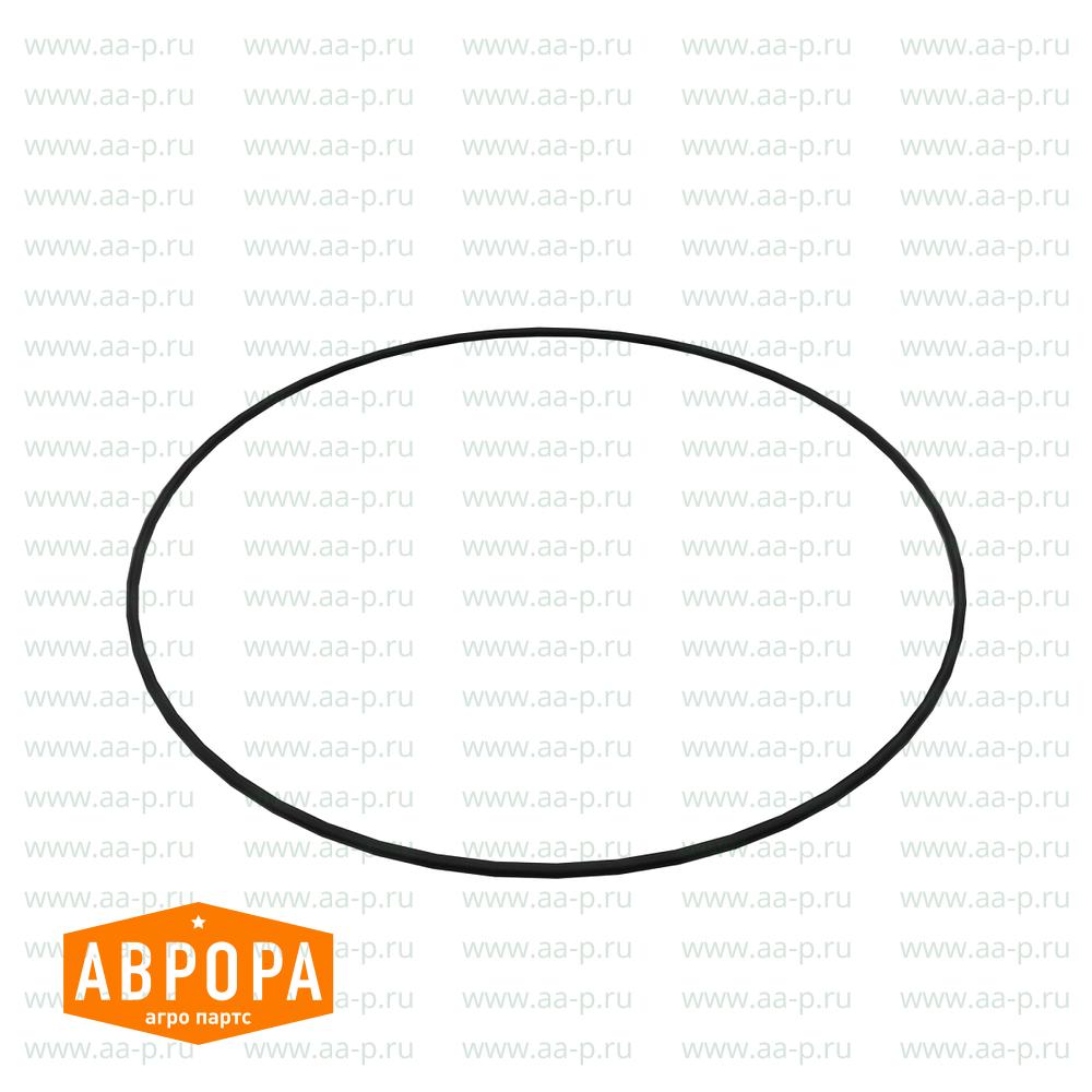 R113982 УПЛОТНИТЕЛЬНОЕ  КОЛЬЦО